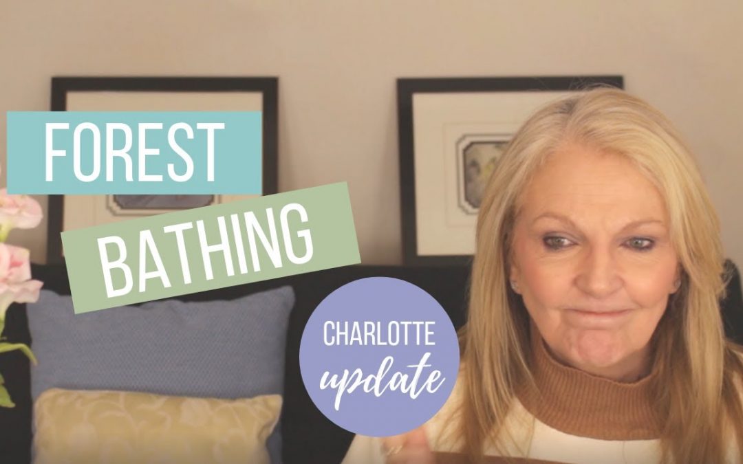 Forest Bathing. Charlotte and stuff